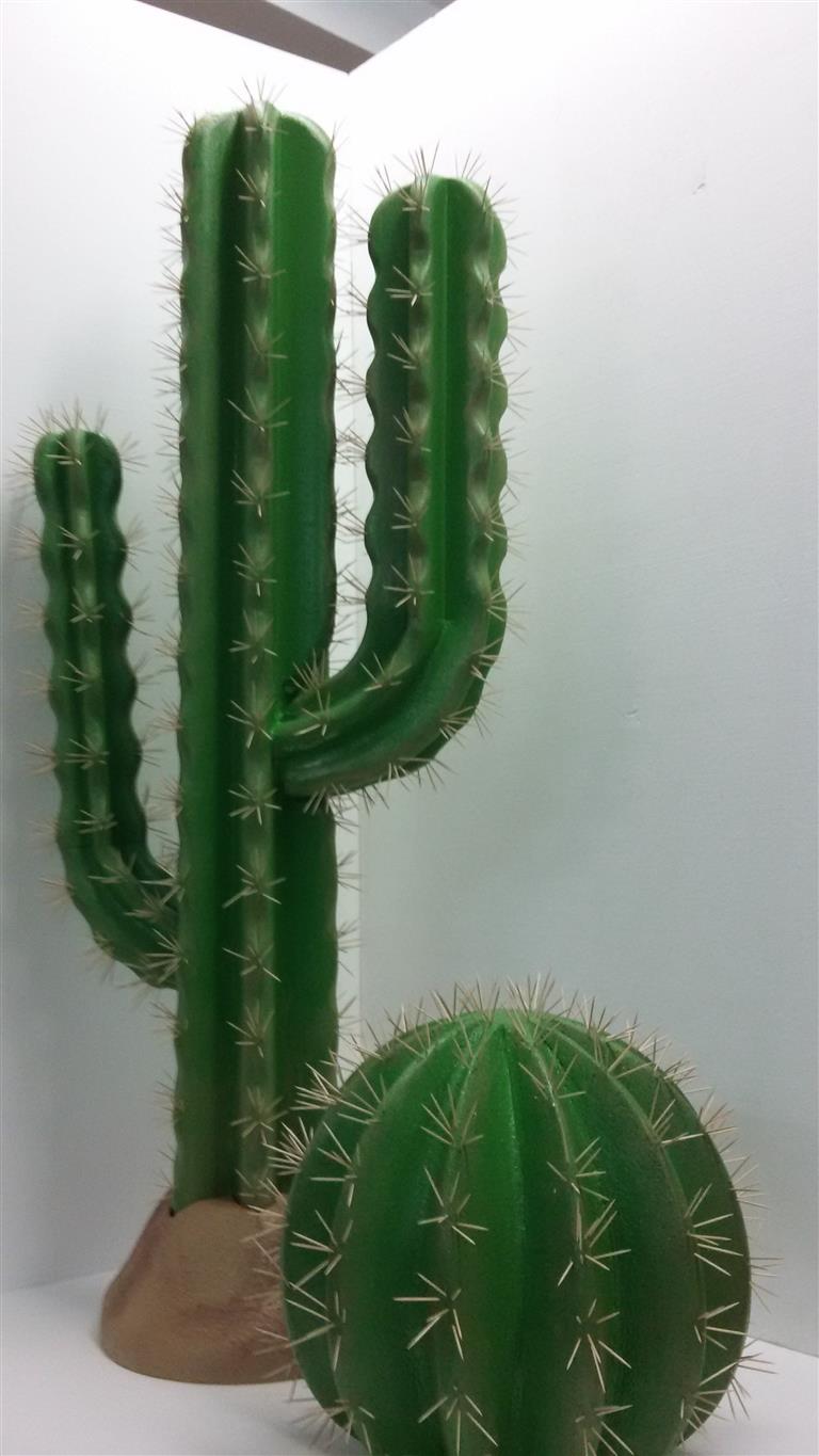 Kaktüs